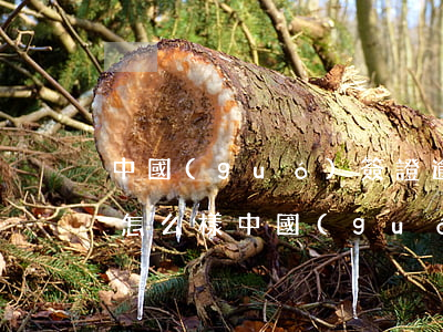 中國(guó)簽證逾期出境會(huì)怎么樣，中國(guó)簽證過(guò)期：未及時(shí)出境的后果是什么？